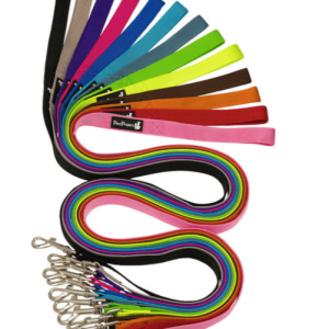 פטסלנד רצועת הולכה כפולה 30 מ"מ מידה M